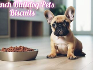 French Bulldog Pet Biscuits: A Deal with for Your Furry Good friend! 🐾